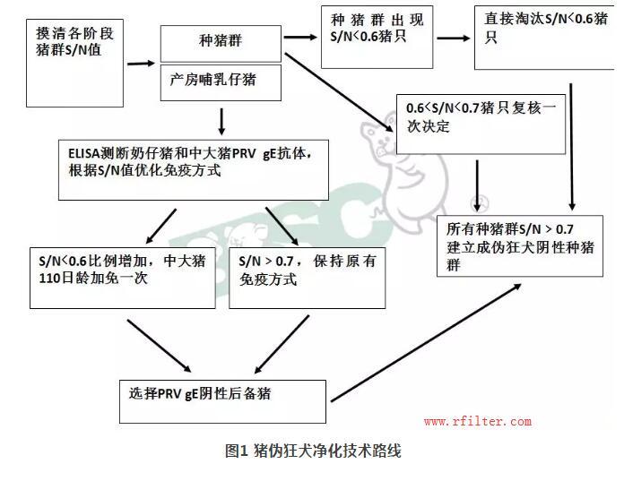 規(guī)模豬場(chǎng)如何凈化控制疫病？空氣過(guò)濾系統(tǒng)如何阻擋藍(lán)耳病毒株呢？